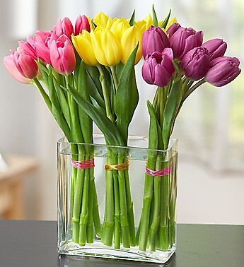 Modern Tulips