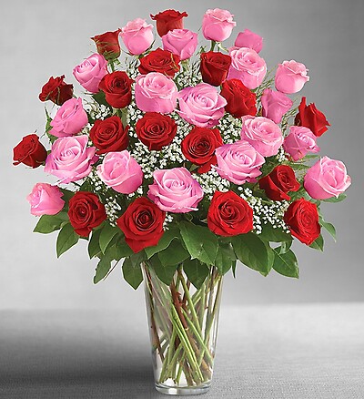 Ultimate Elegance&amp;trade; Long Stem Pink &amp;amp; Red Roses